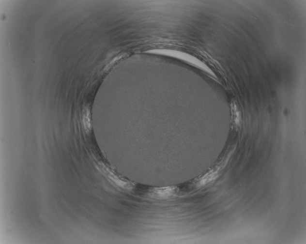 X0000069830479200605221211