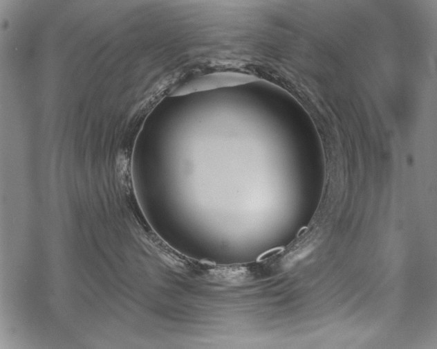 X0000069830480200605221211