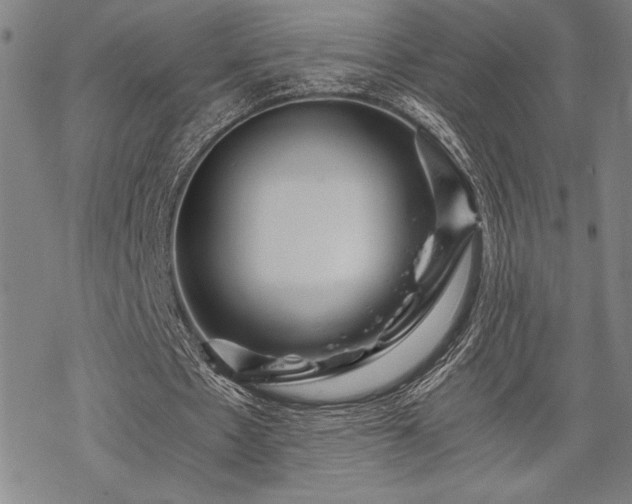 X0000069830481200605221211