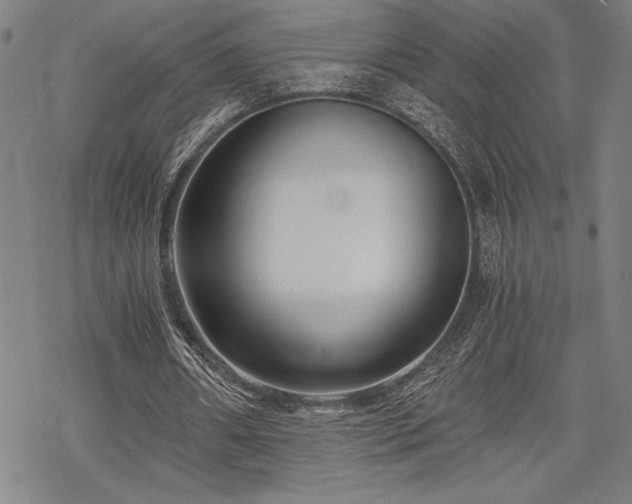 X0000069830482200605221211