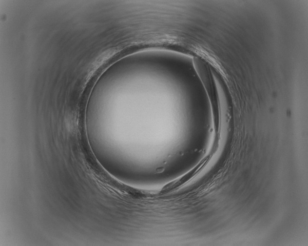 X0000069830483200605221211