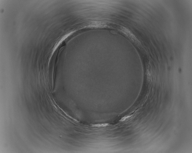 X0000069830484200605221211