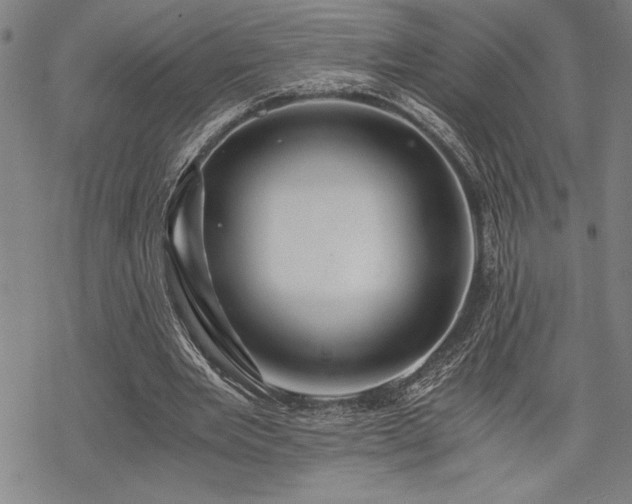 X0000069830485200605221211