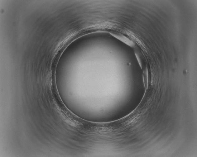 X0000069830486200605221211