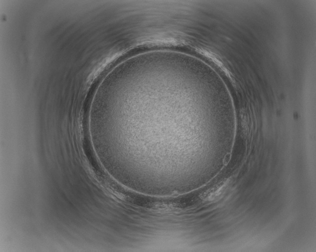 X0000069830487200605221211