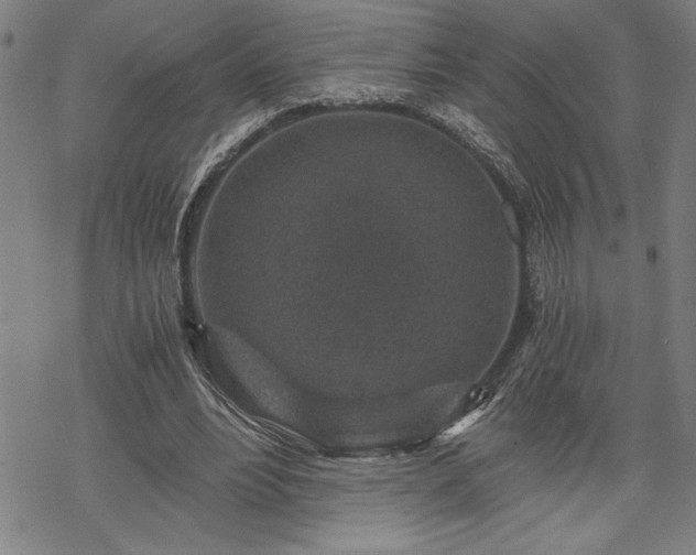 X0000069830488200605221210