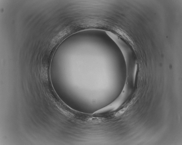 X0000069830489200605221210