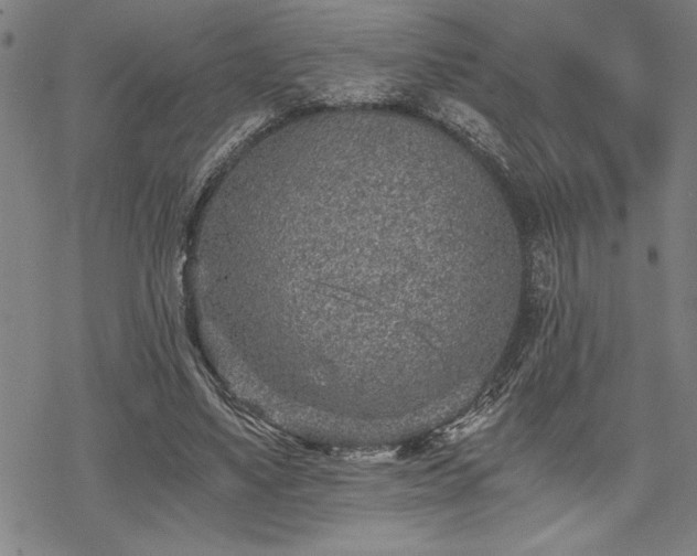 X0000069830491200605221210