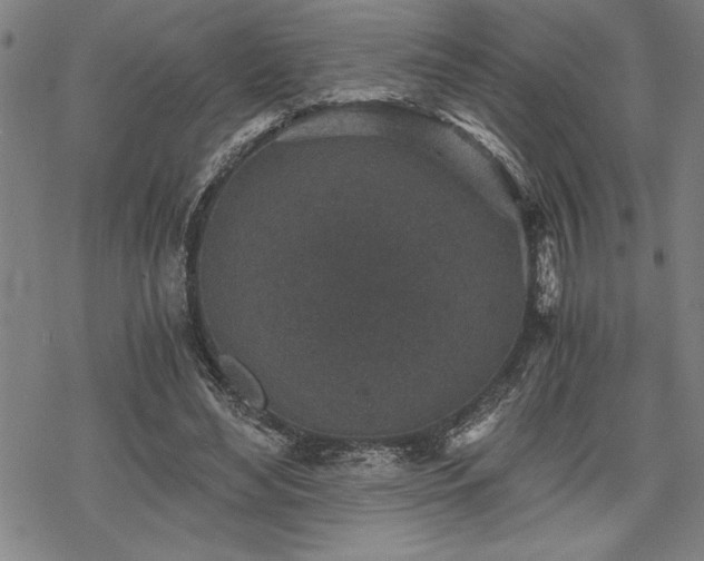 X0000069830492200605221210