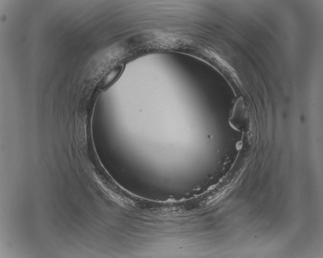 X0000069830493200605221210