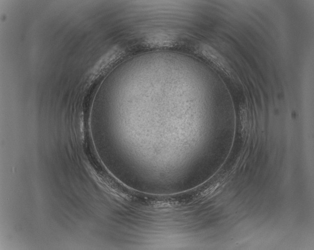 X0000069830494200605221210