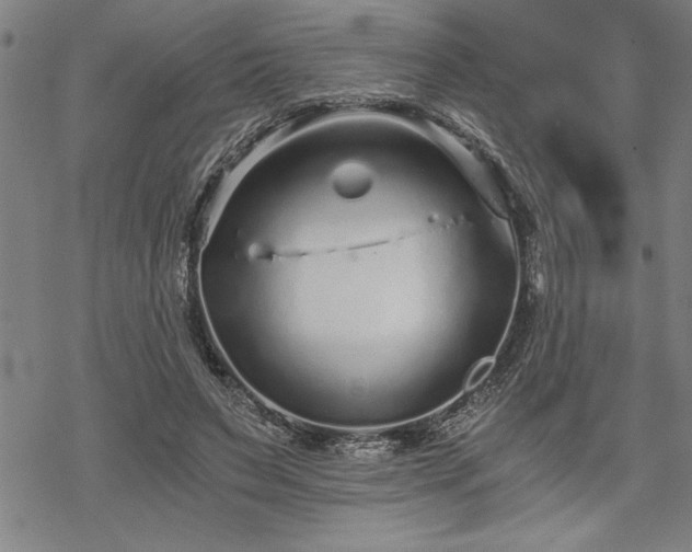 X0000069830495200605221210