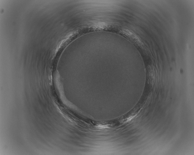 X0000069830496200605221210