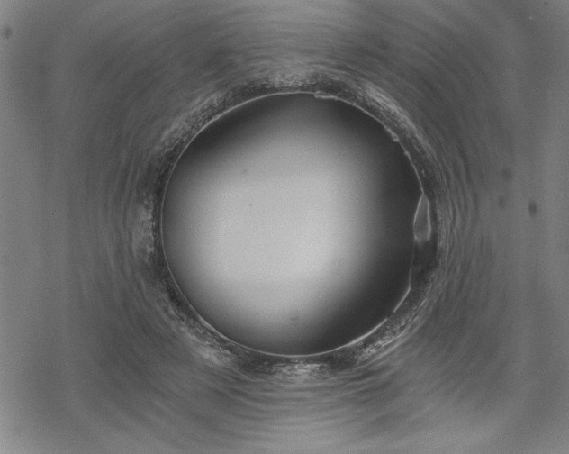 X0000069830497200605221210