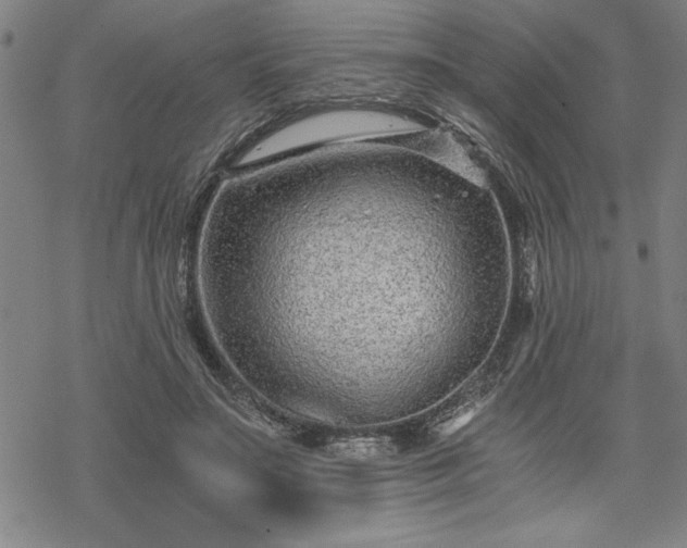 X0000069830499200605221210