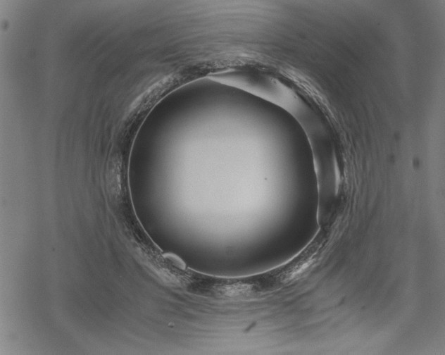 X0000069830501200605221210