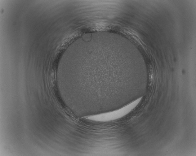 X0000069830503200605221210