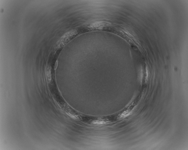 X0000069830504200605221210