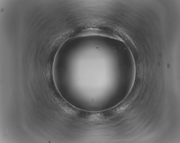 X0000069830505200605221210