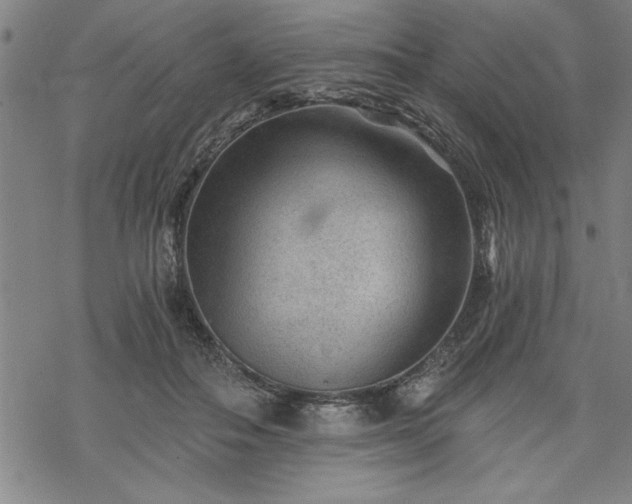 X0000069830506200605221210