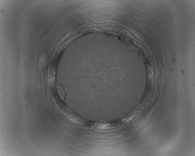 X0000069830507200605221210