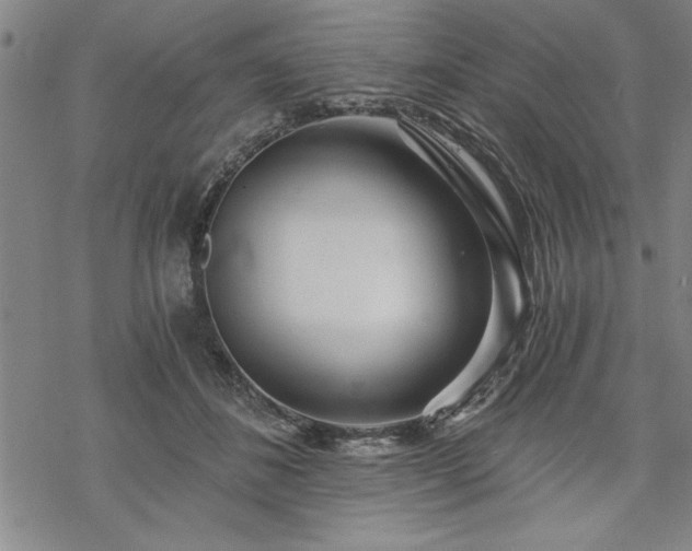 X0000069830508200605221210