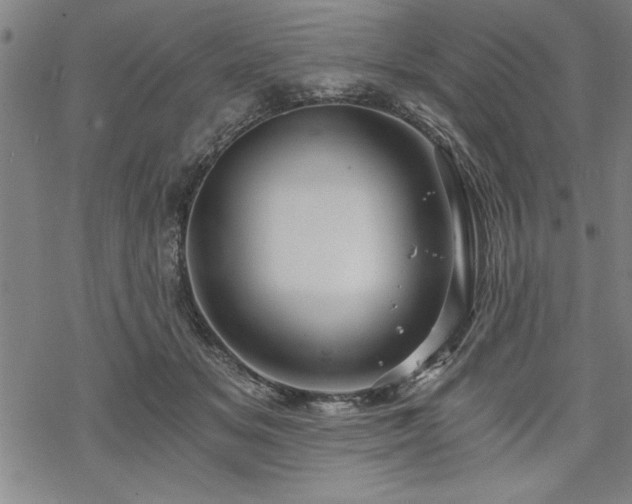 X0000069830509200605221210