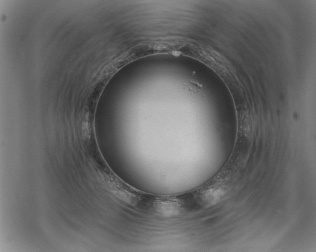 X0000069830510200605221210