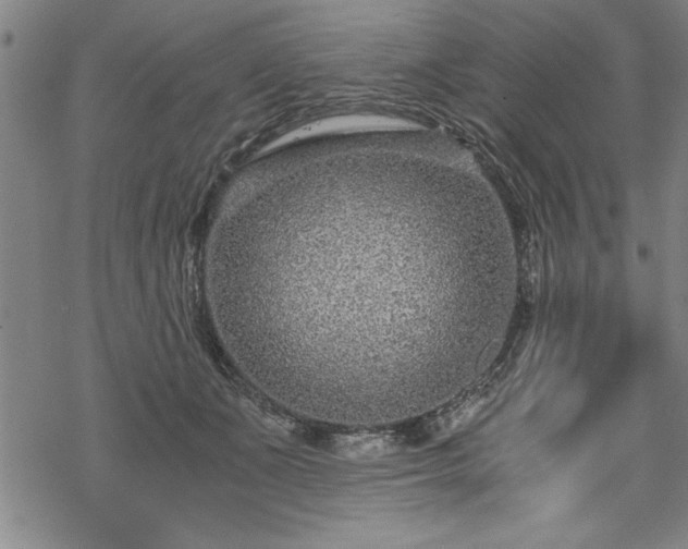 X0000069830511200605221210