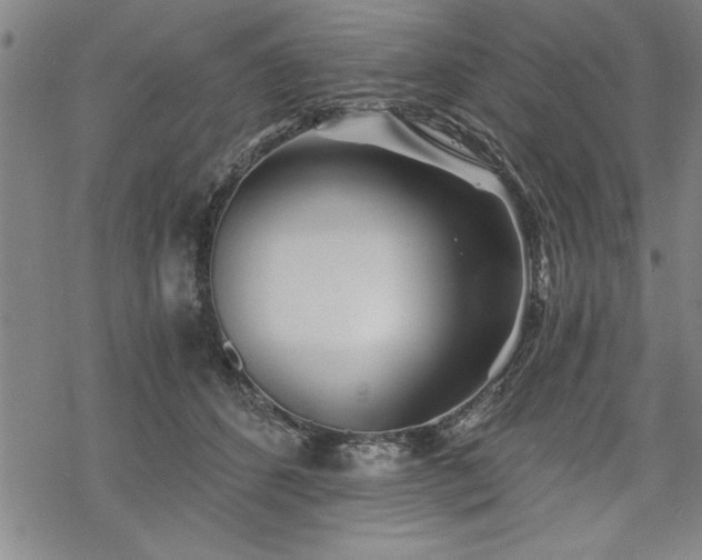 X0000069830512200605221210