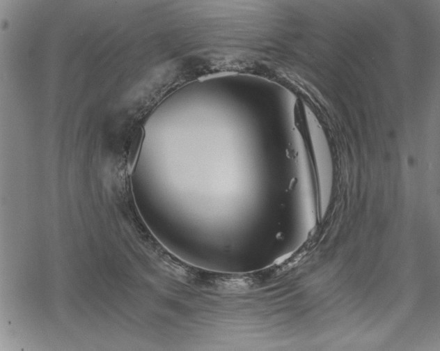 X0000069830513200605221210