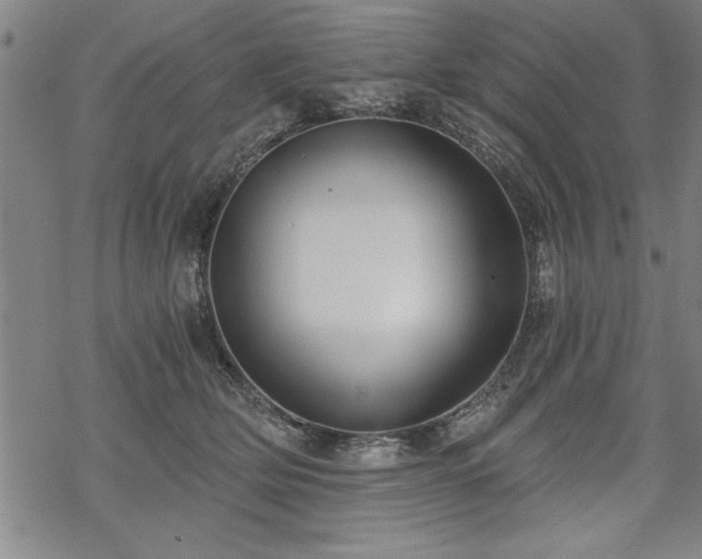 X0000069830514200605221210