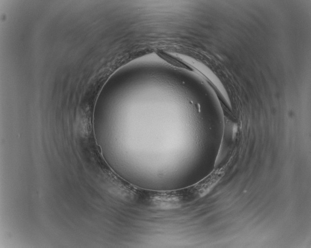 X0000069830515200605221210