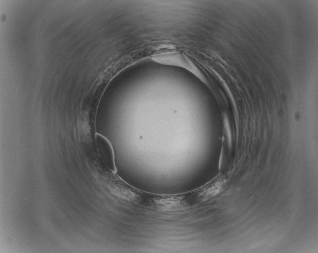 X0000069830516200605221210