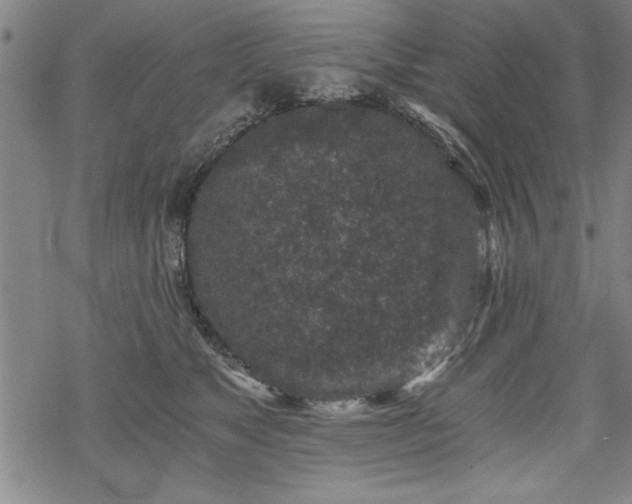 X0000069830517200605221210