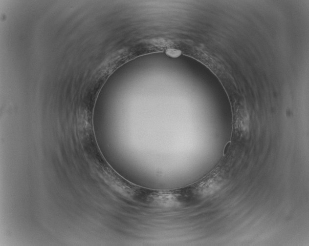 X0000069830518200605221210