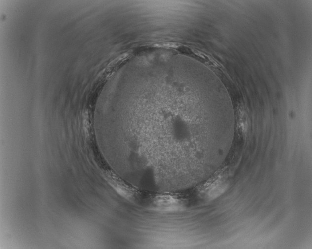 X0000069830519200605221210