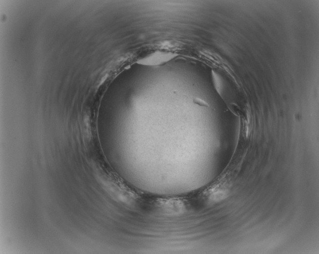 X0000069830520200605221210