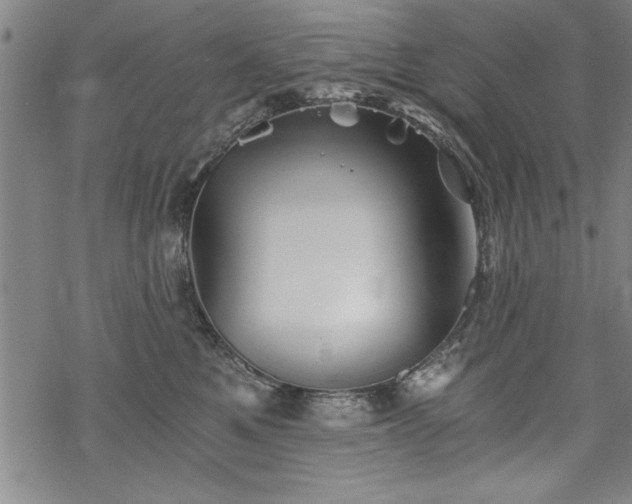 X0000069830521200605221210