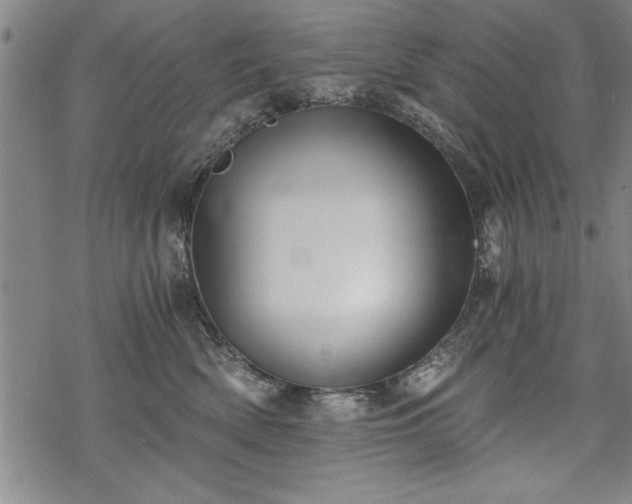 X0000069830522200605221210