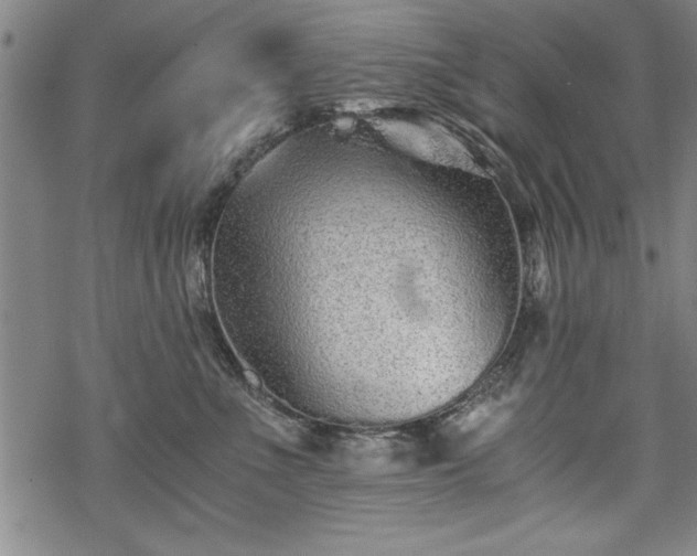 X0000069830523200605221210