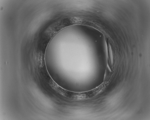 X0000069830525200605221210