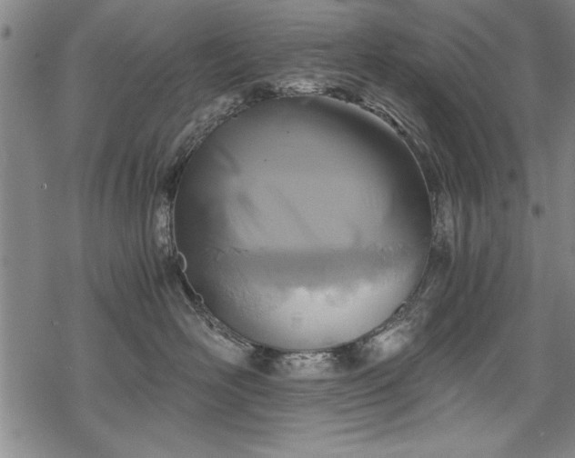 X0000069830526200605221210