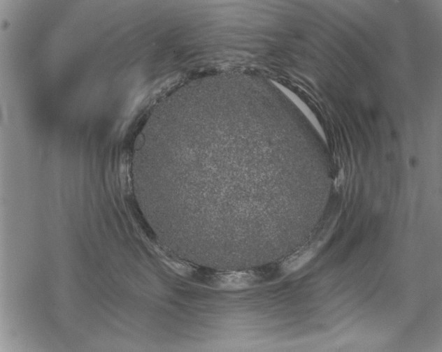 X0000069830527200605221210