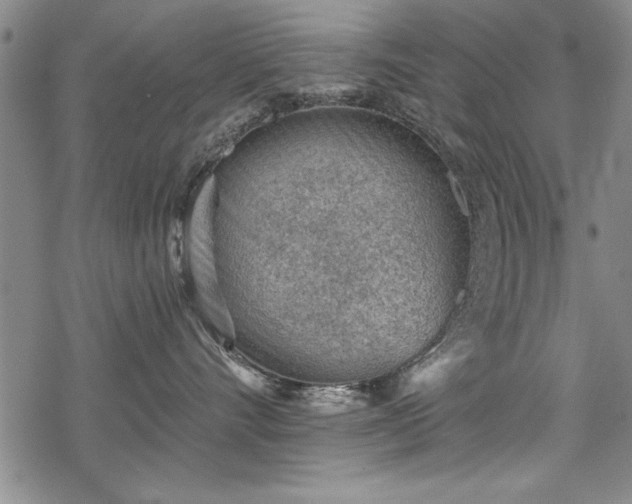 X0000069830528200605221210