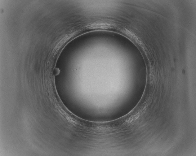 X0000069830529200605221209