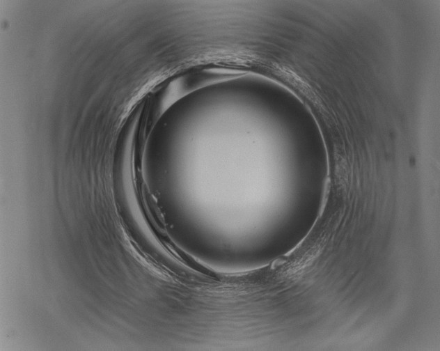 X0000069830530200605221209