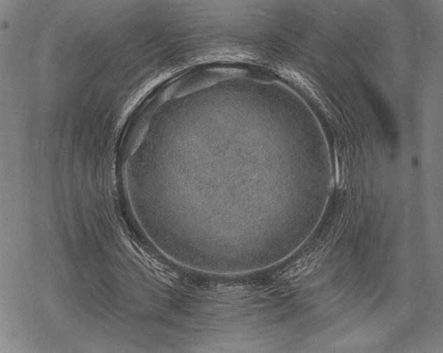 X0000069830531200605221209