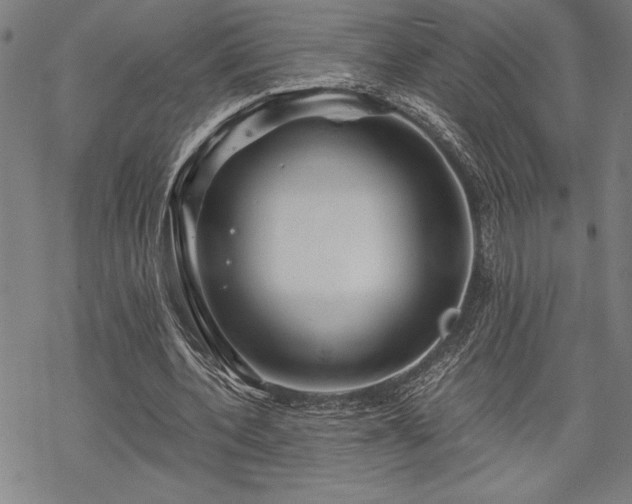 X0000069830532200605221209