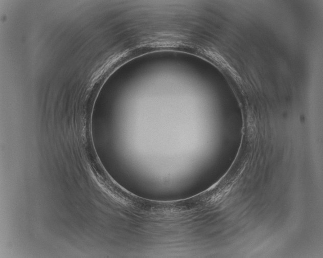 X0000069830533200605221209